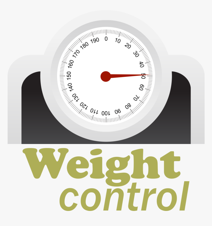 Subscribe To E Picks Newsletter - Weight Control, HD Png Download