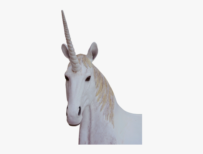 Png Unicorn Animal Magic - Unicorn Png, Transparent Png
