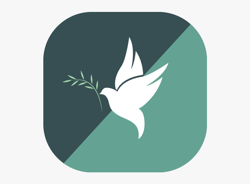 A Dove With An Olive Branch Signifying Healing Of Devops - Illustration, HD Png Download