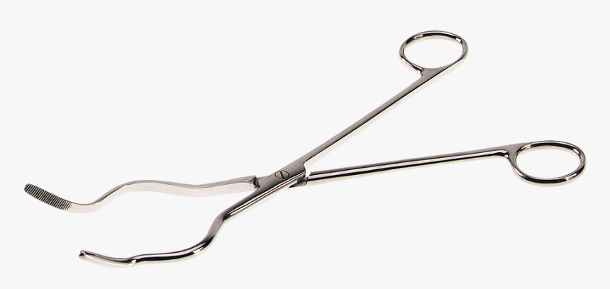 Stainless Steel Tongs - Tool, HD Png Download