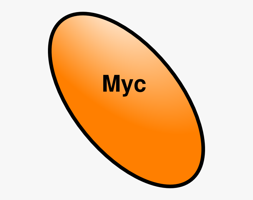 Years In Roman Numerals, HD Png Download