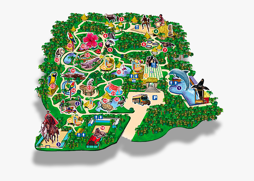 Republica Dominicana Manatí Park, HD Png Download