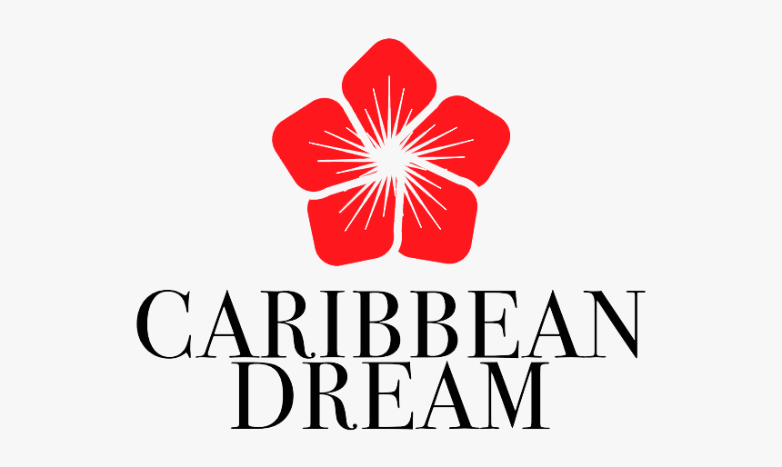Punta Cana Tours - Caribbean Dream Punta Cana, HD Png Download
