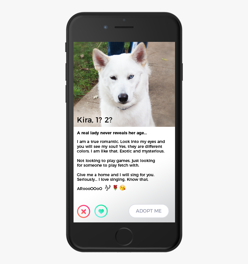 Berger Blanc Suisse, HD Png Download