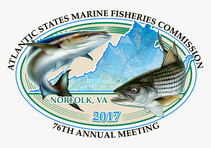 School Logo Design Samples, HD Png Download