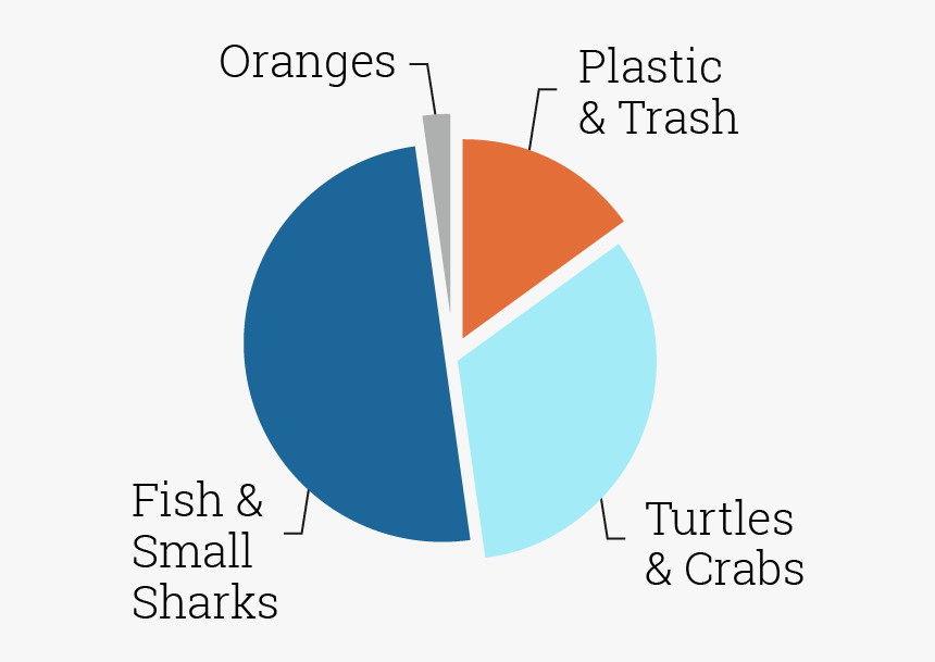 Updated Graph - Tiger Sharks Eating Trash, HD Png Download