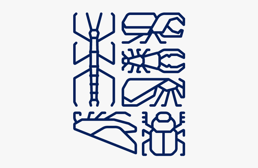 Arizona Insect Festival 2019 Design, HD Png Download