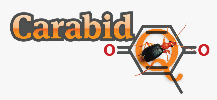 Picture - Carabid Q, HD Png Download