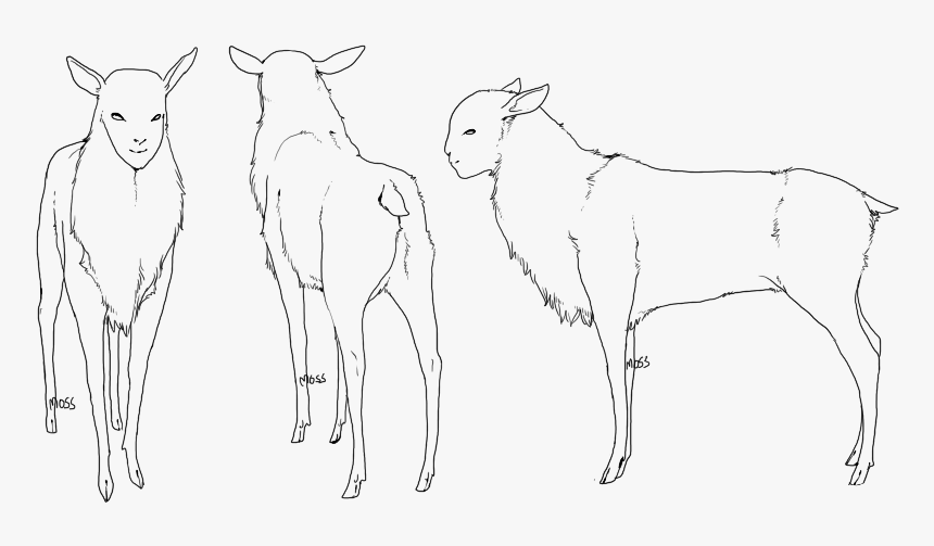 Line Art, HD Png Download