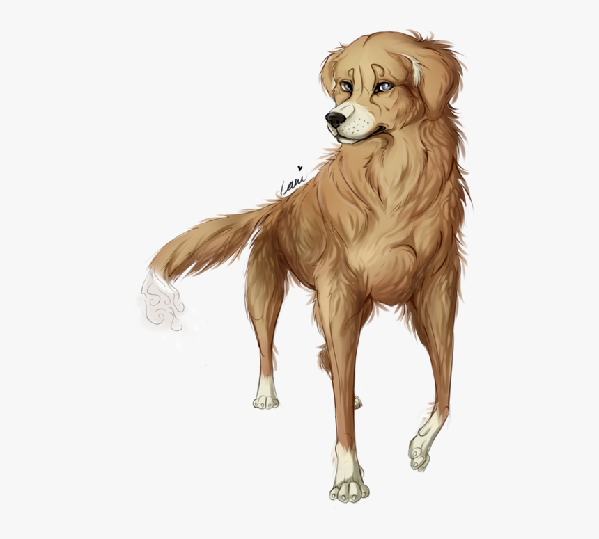 Golden Retriever, HD Png Download