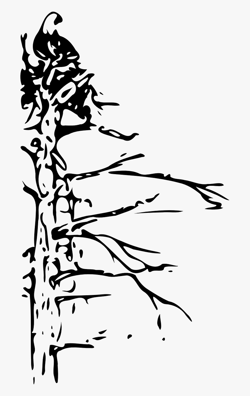 Eagle In A Tree Clipart Black And White, HD Png Download