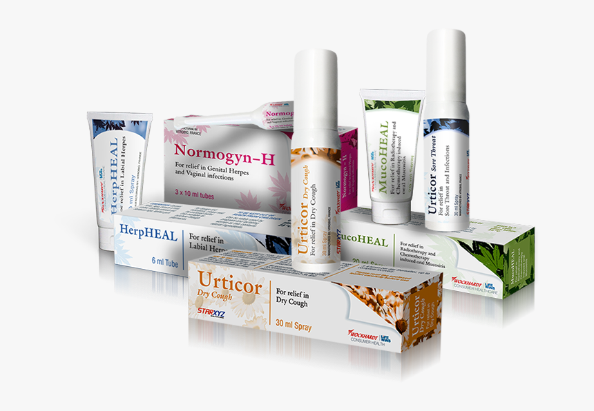 Shelf, HD Png Download