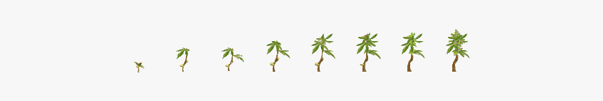 Parallel, HD Png Download