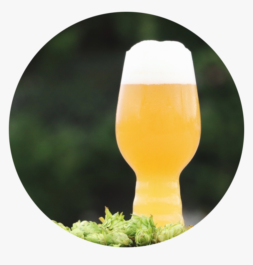 Boozygroggy - Beer Glass, HD Png Download