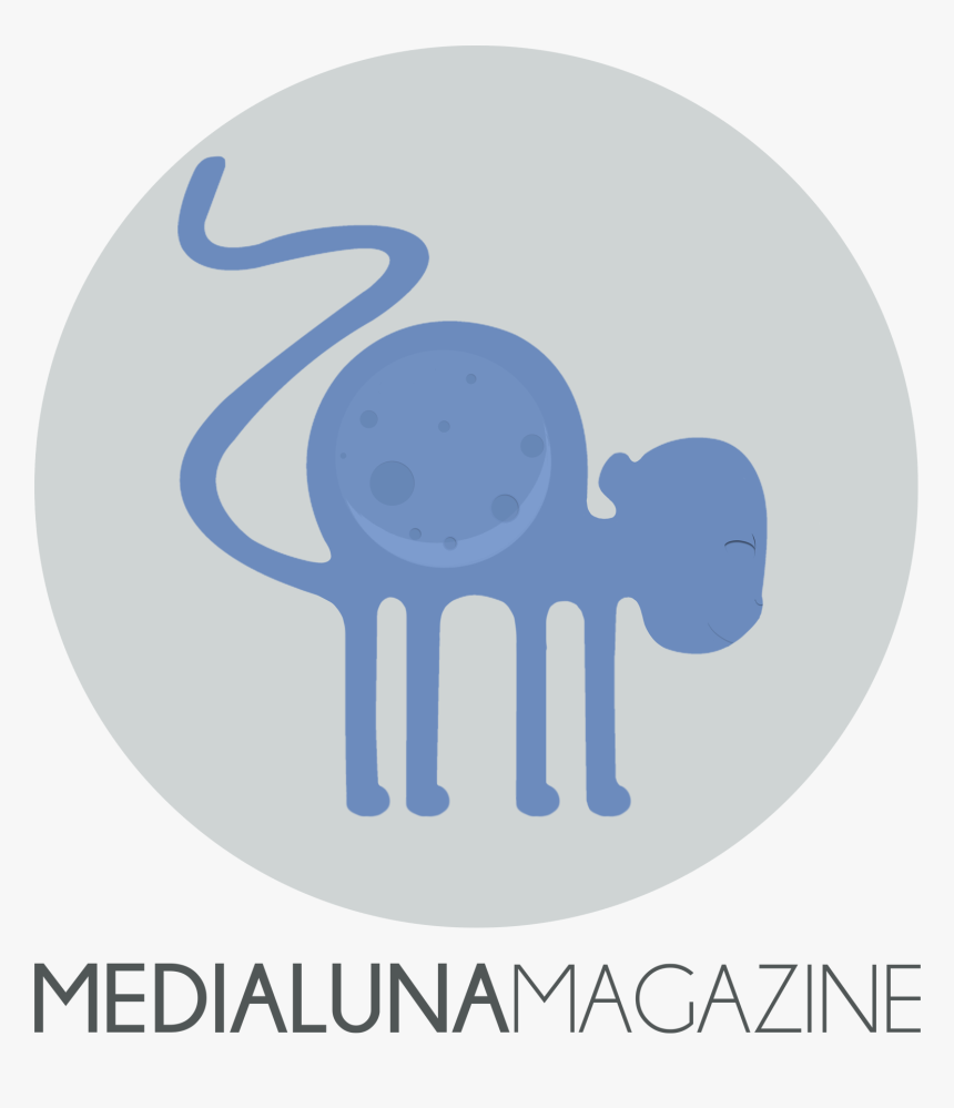 Circle, HD Png Download