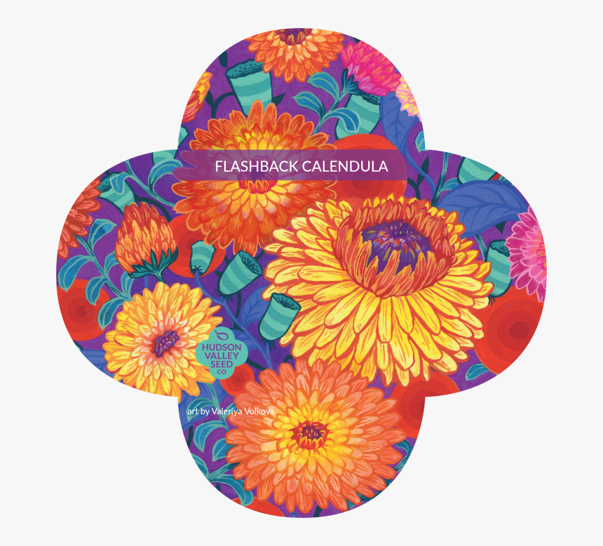 Zinnia, HD Png Download