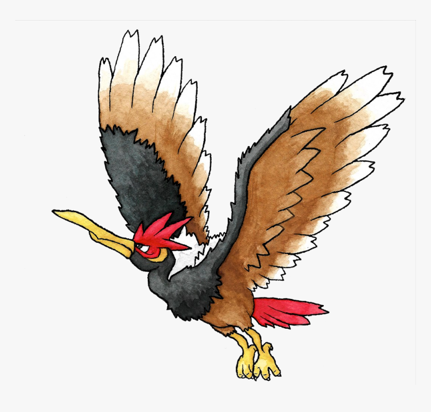 Buzzard, HD Png Download