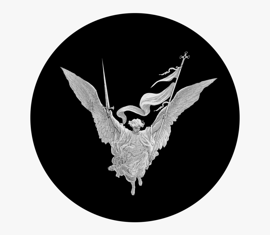 Accipitriformes, HD Png Download