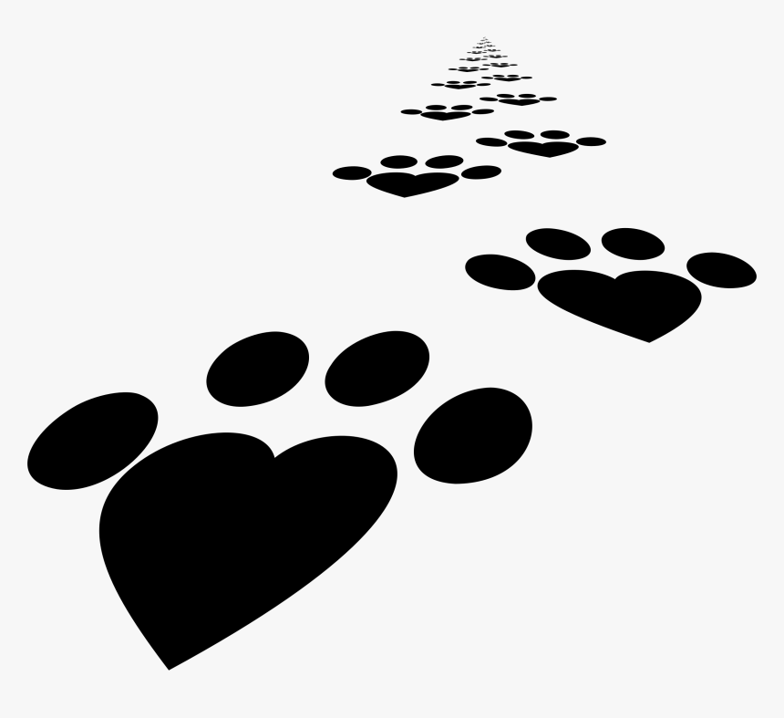 Heart,paw,monochrome Photography - Coração Com Patas Png, Transparent Png