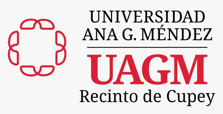 Oval, HD Png Download