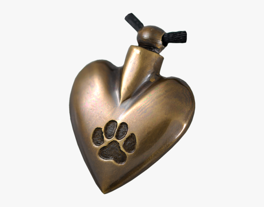 Duck, HD Png Download