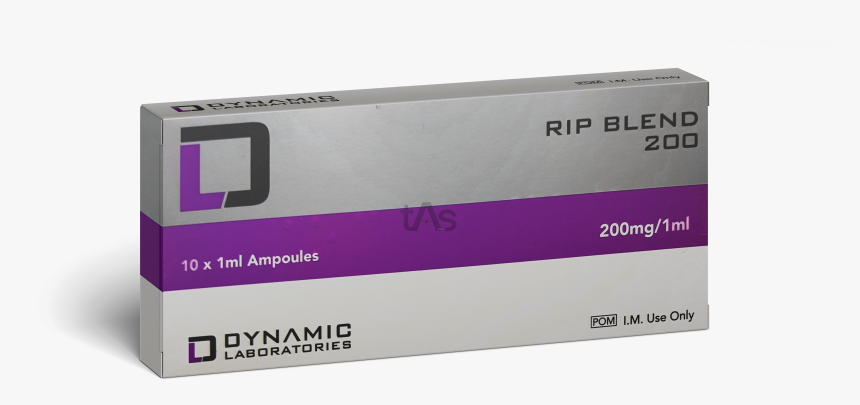 Multimedia Software, HD Png Download