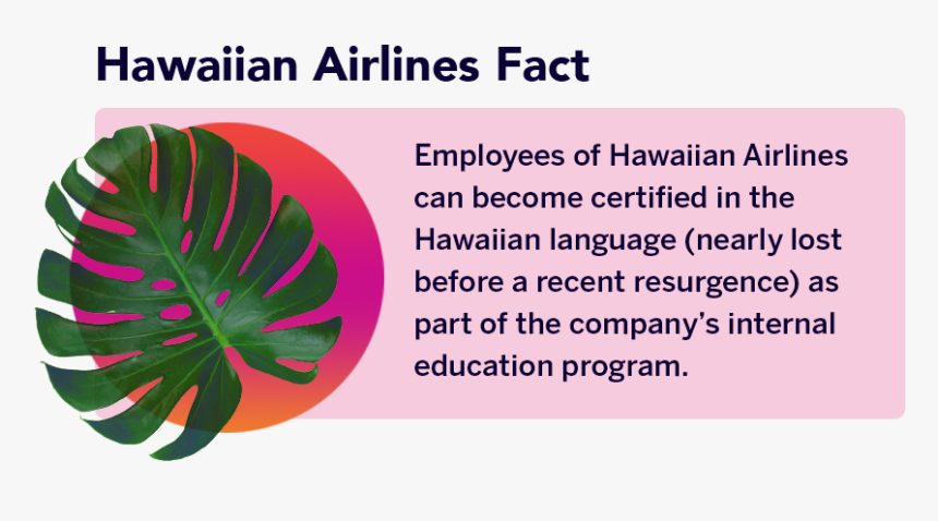 Colorfulness, HD Png Download