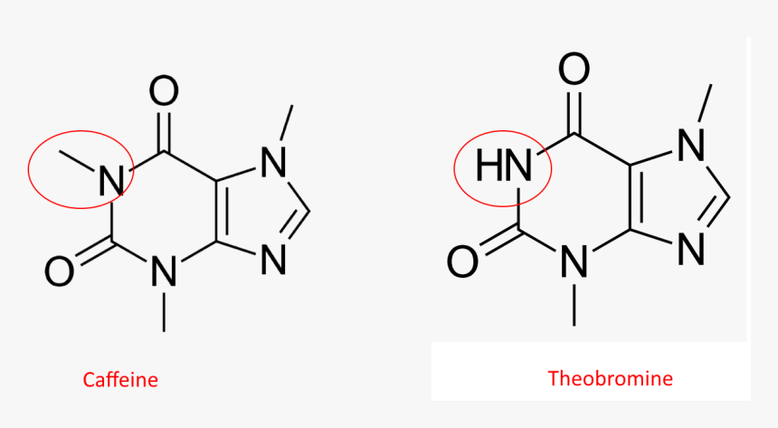 Caffeine Molecule, HD Png Download