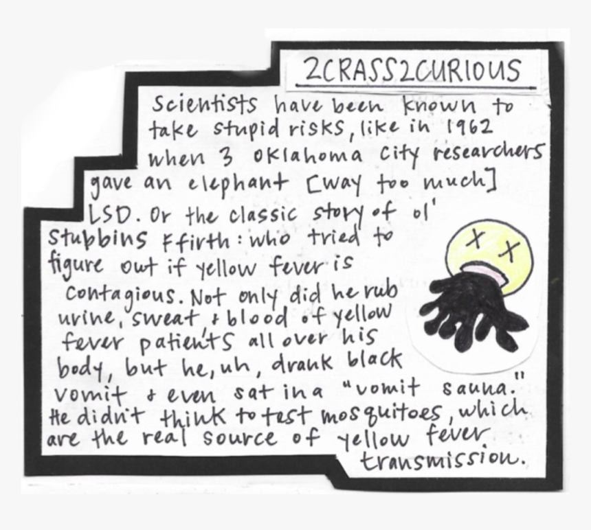 2crass2curious - Handwriting, HD Png Download