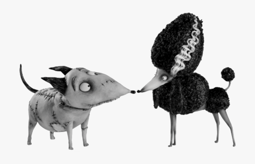 Persephone Frankenweenie, HD Png Download