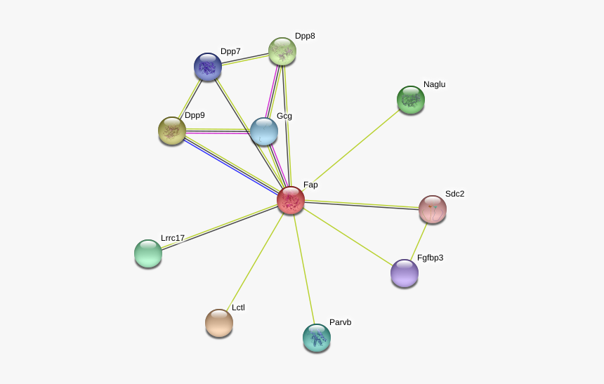 Fap Protein, HD Png Download