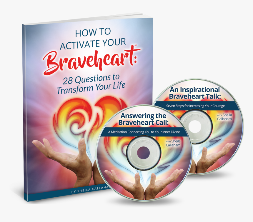 Multimedia Software, HD Png Download