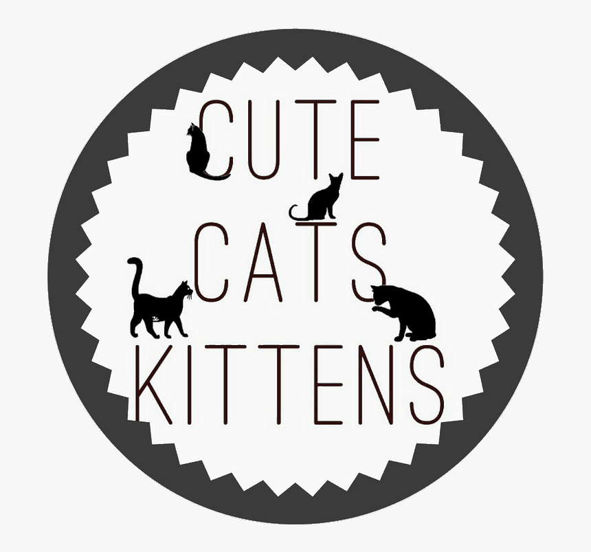 Shoutout On Buysellshoutouts - General Motors 24231691, HD Png Download