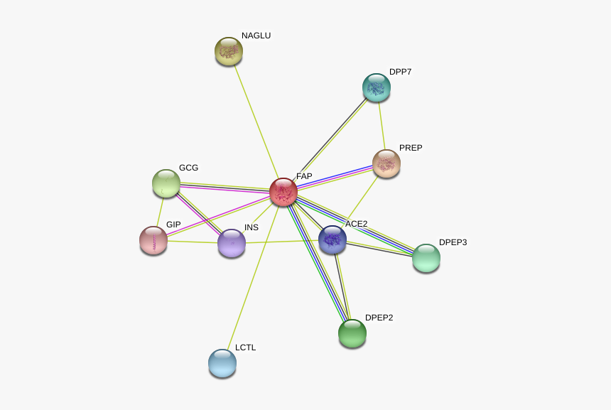 Fap Protein, HD Png Download