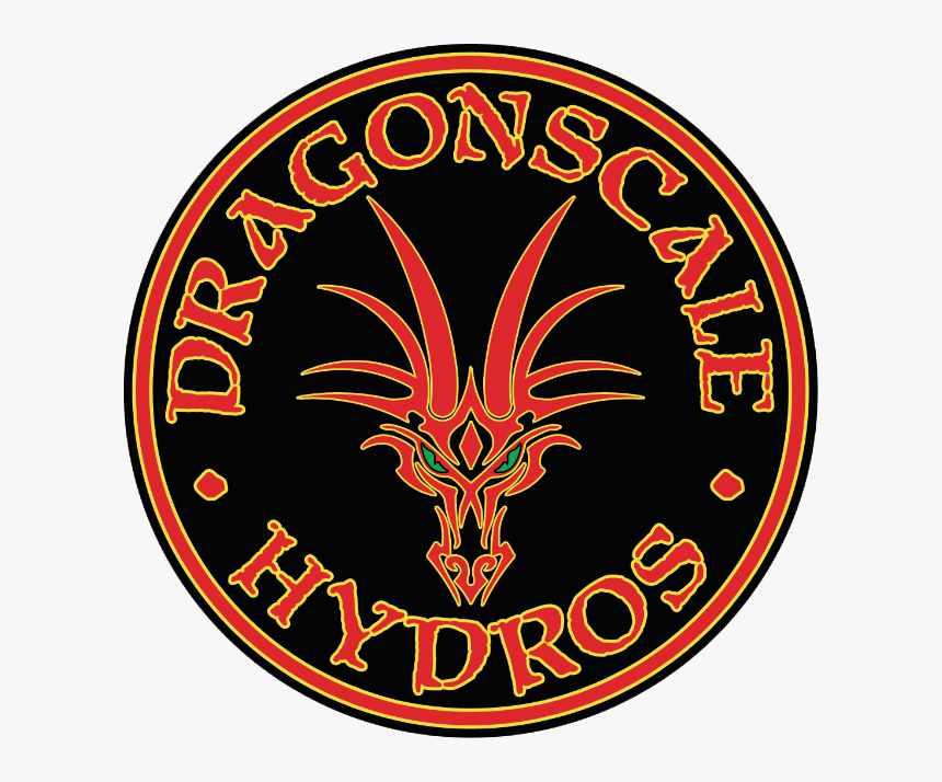 Circle, HD Png Download