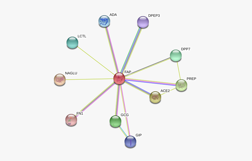 Fap Protein, HD Png Download