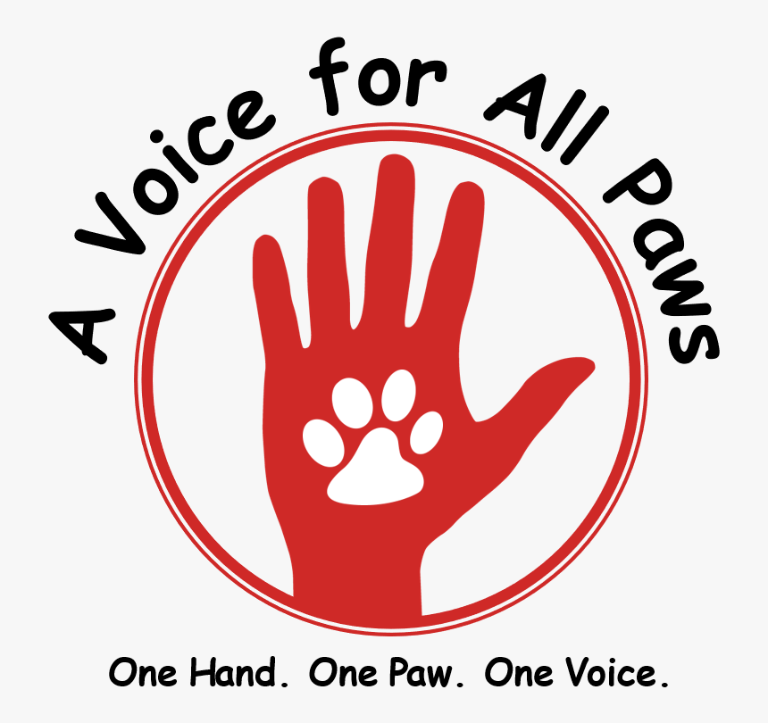 Gimme 5, HD Png Download