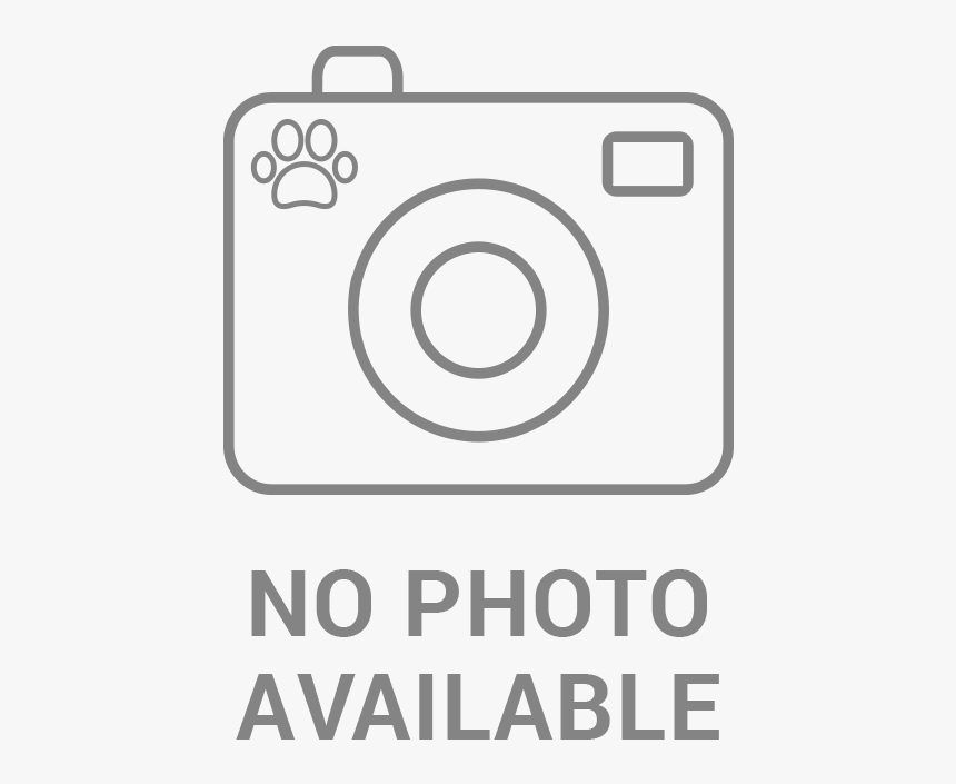 Icon, HD Png Download