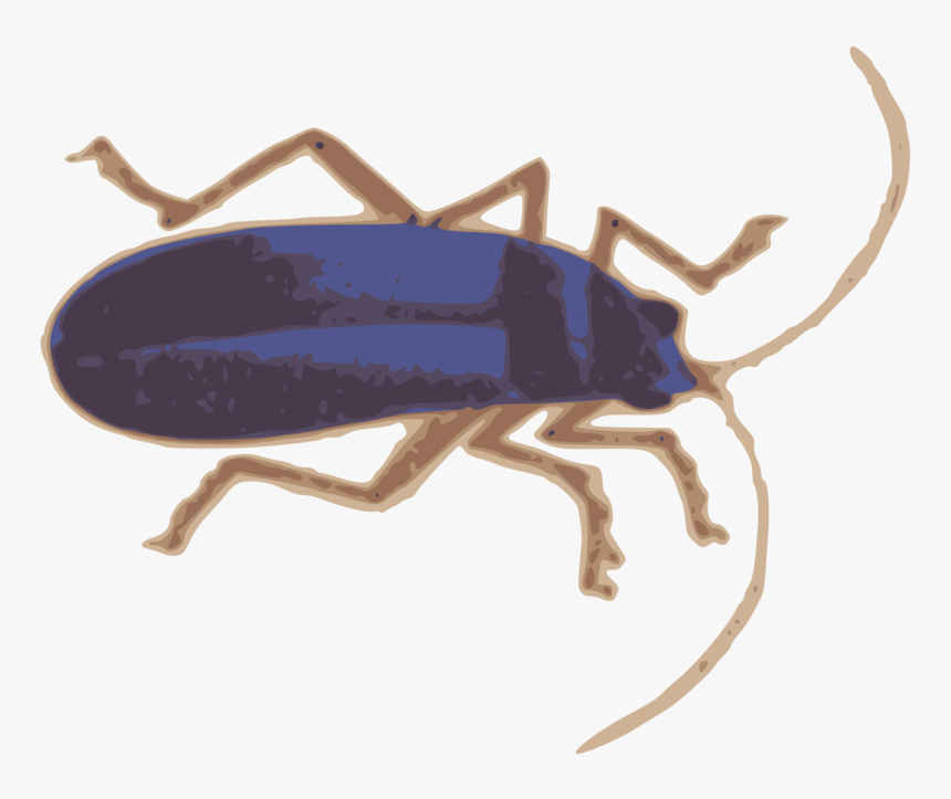 Clip Art, HD Png Download