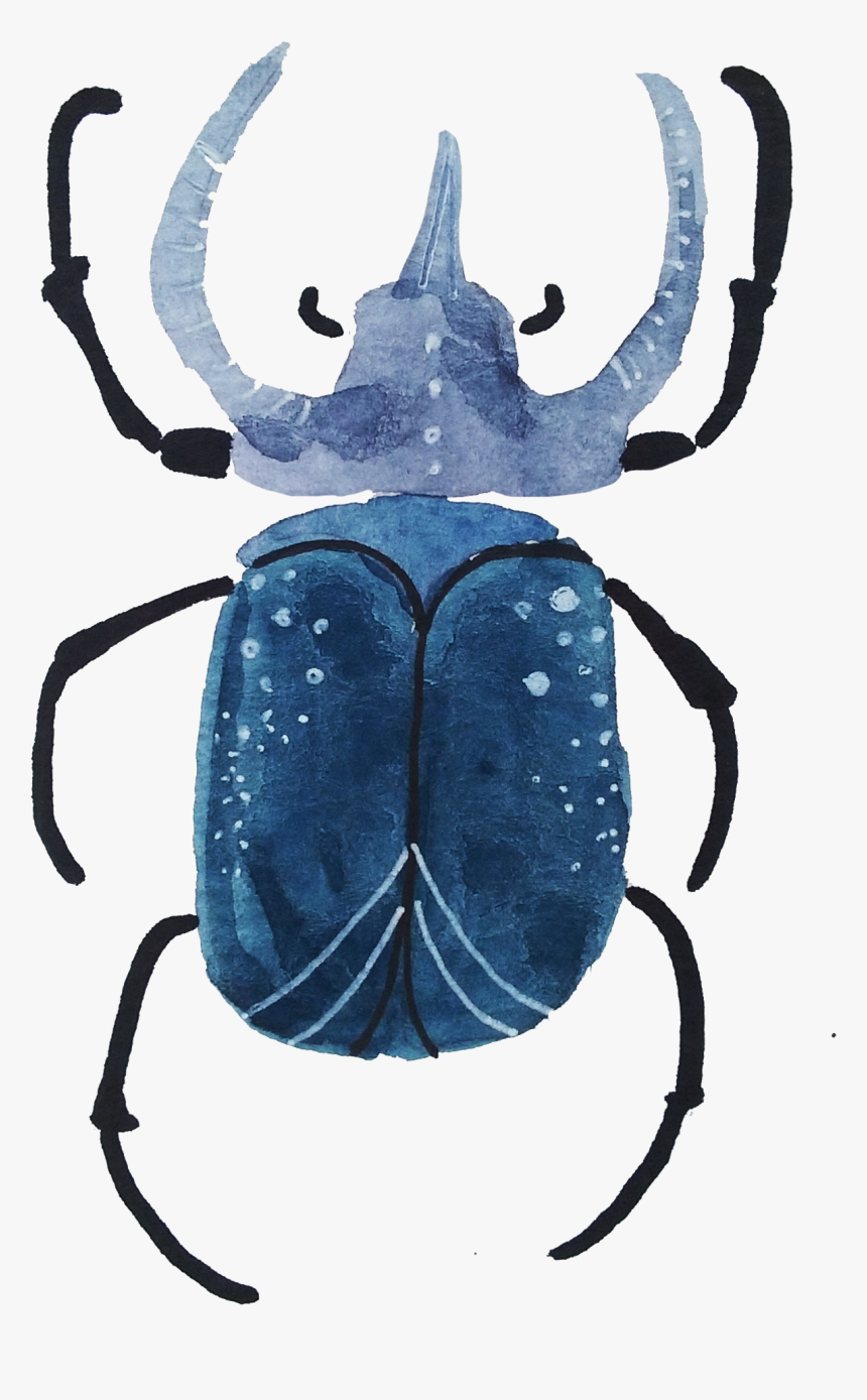 With Both Watercolors And Gouache - Dung Beetle, HD Png Download