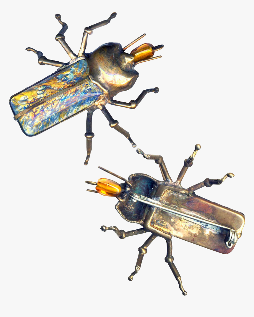 Japanese Rhinoceros Beetle, HD Png Download