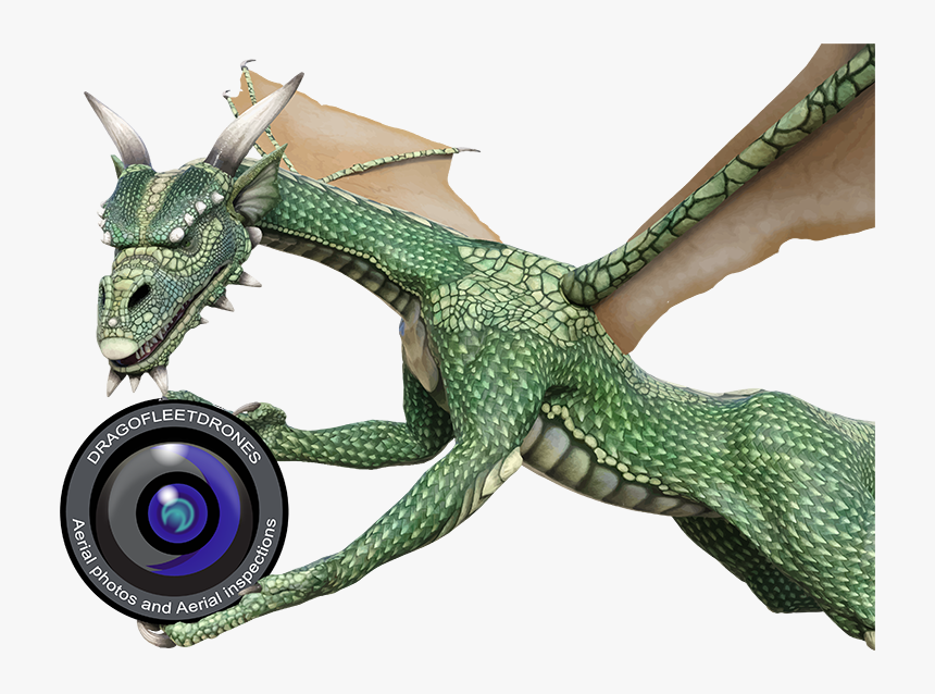 Dragon, HD Png Download