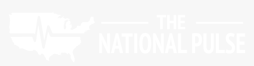The National Pulse Logo - Graphic Design, HD Png Download