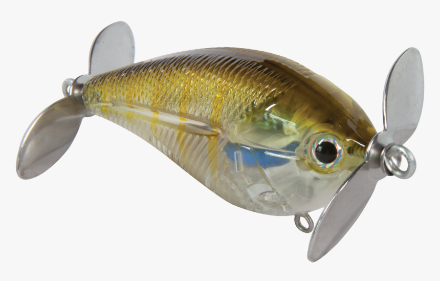 Bait Fish, HD Png Download