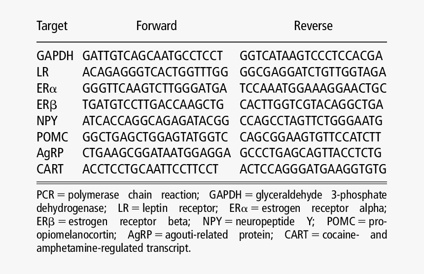 Gti, HD Png Download