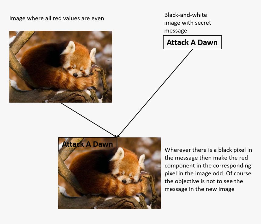 Panda Overlay Secret - Red Panda, HD Png Download