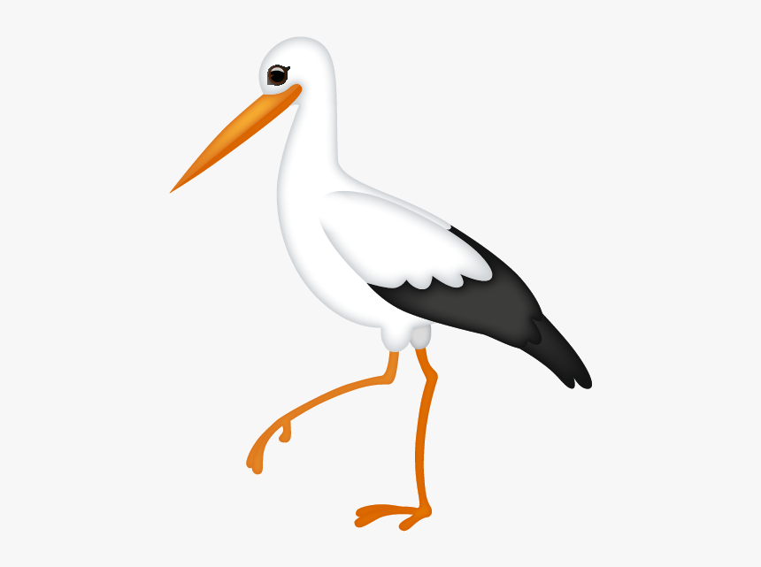 Water Bird, HD Png Download