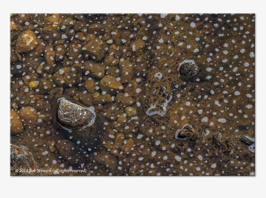 Bead, HD Png Download