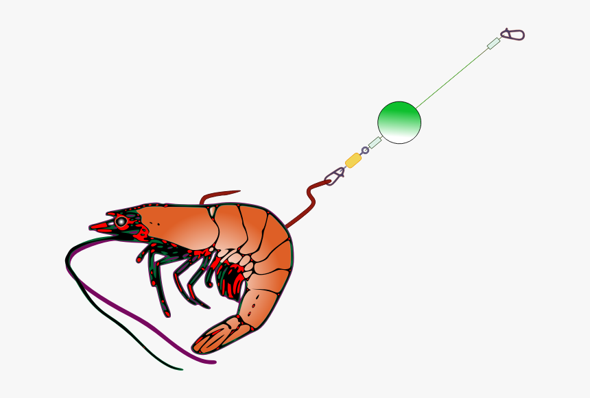 Fishing Bait, HD Png Download