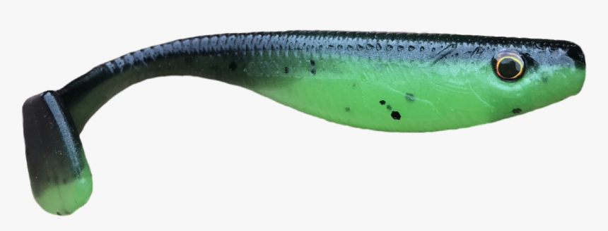 Sand Eel, HD Png Download